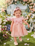 SHEIN Baby Ruffle Trim Bow Front Dress