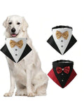 SHEIN 1pc Fashionable Sparkly Collar With Bow Tie For Cat And Dog
