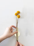 SHEIN Golden Wall-mounted Flower Vase (excluding Wall Glue)