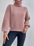 SHEIN Frenchy Turtleneck Drop Shoulder Sweater