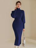 SHEIN Modely Turtle Neck Gigot Sleeve Belted Sweater Dress