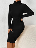 SHEIN Privé Turtleneck Raglan Sleeve Twist Front Sweater Dress