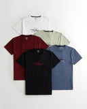 Hollister Embroidered Logo Graphic Tee (Single Tee)